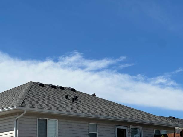 Best Metal Roofing Installation  in Hidden Valley, IN